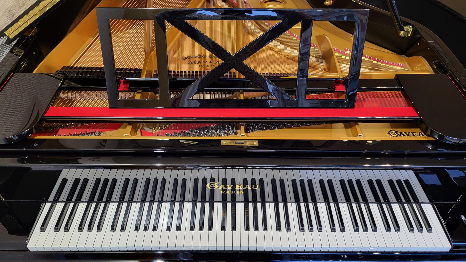 Housse GEWA Premium  Amadeus Pianos Toulouse