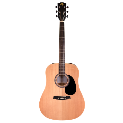 Guitare acoustique sd25 face