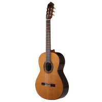 Guitare classique soloist 500 biais