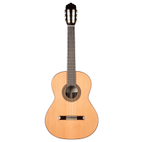 Guitare classique soloist 500 face