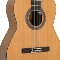 Guitare classique soloist 900 corps