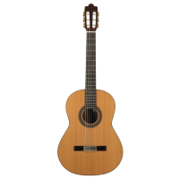 Guitare classique soloist 900 face