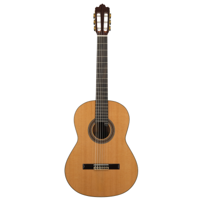 Guitare classique soloist 900 face